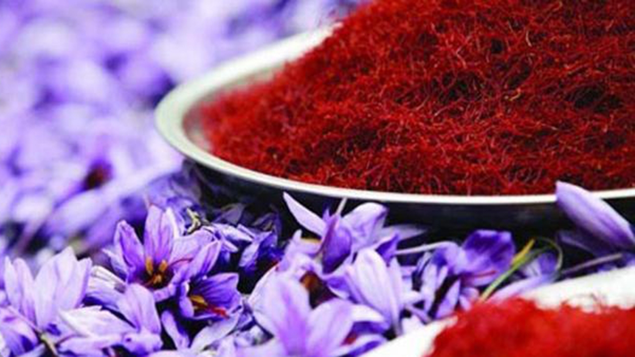 تولید محصول استاندارد زعفران در مرودشت