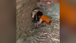 واکنش جالب یک اسب به صاحب غمگینش + فیلم