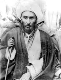 مرجع شجاعی که در حضور رضاخان او را گرگ آدمخوار دانست!