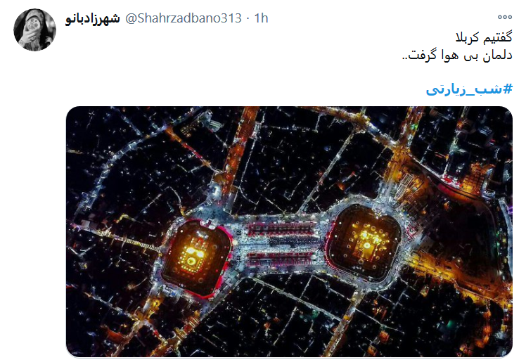 توئیت کاربران با هشتگ #شب_زیارتی به تو از دور سلام، به سلیمان جهان از طرف مور سلام