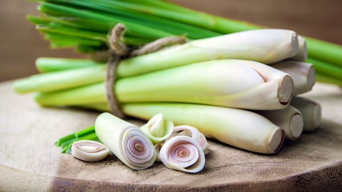 علف لیمو را چگونه مصرف کنیم؟