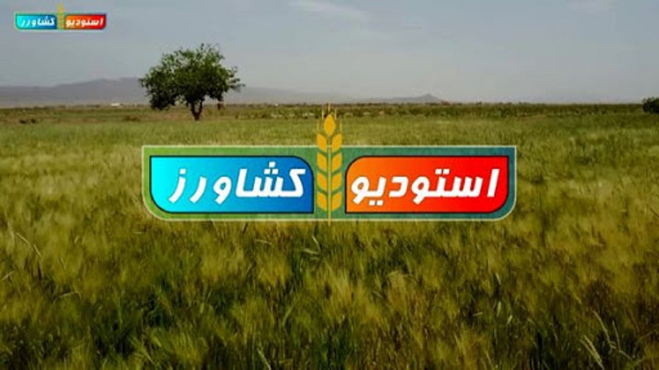 استودیو کشاورز در بوشهر راه‌اندازی می‌شود