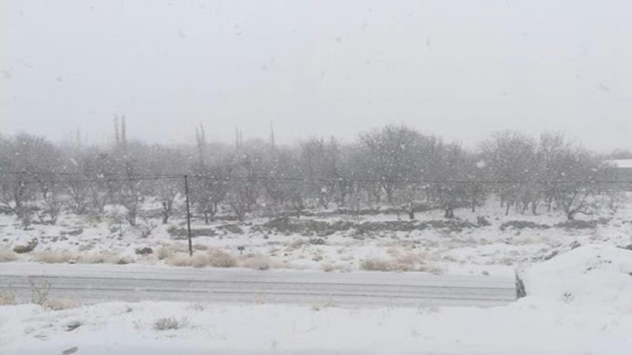 فیلمی از بارش برف در روستای فردو