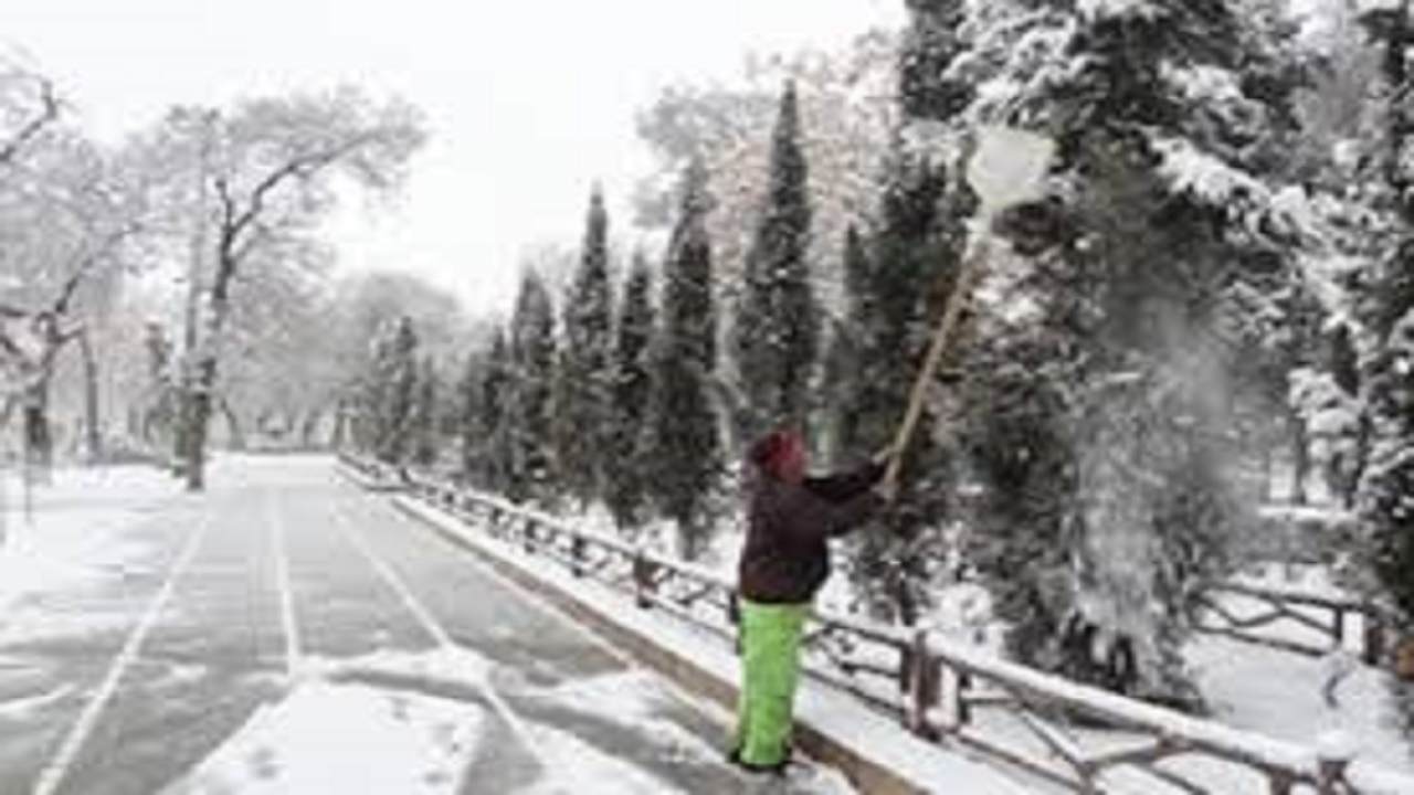 شاخه‌های برف گرفتهٔ درختان را بتکانید