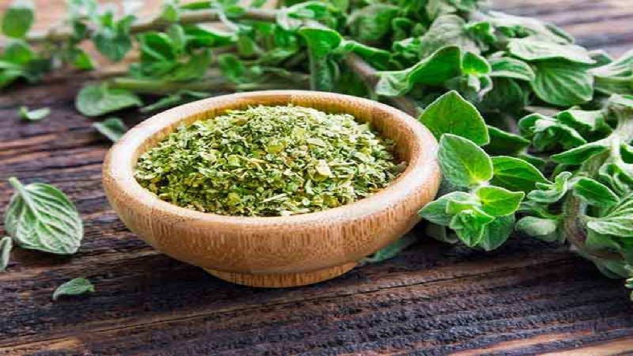 راز استفاده از پونه کوهی در رژیم غذایی مدیترانه‌ای چیست؟