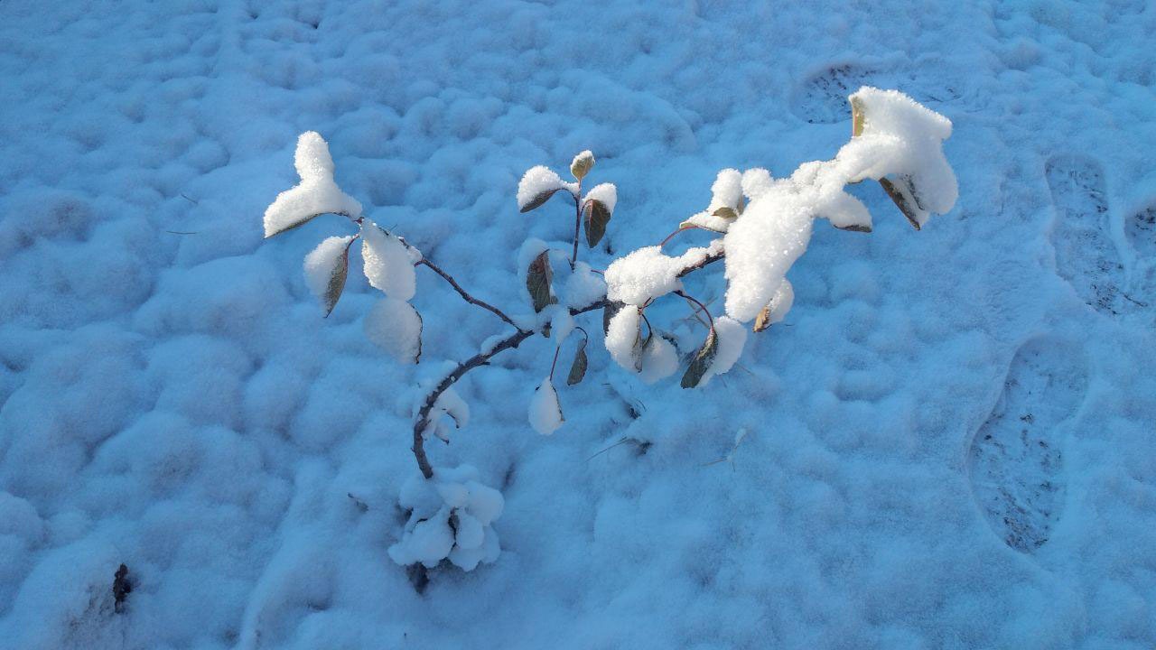 نمایی از طبیعت برفی در باروق + تصاویر