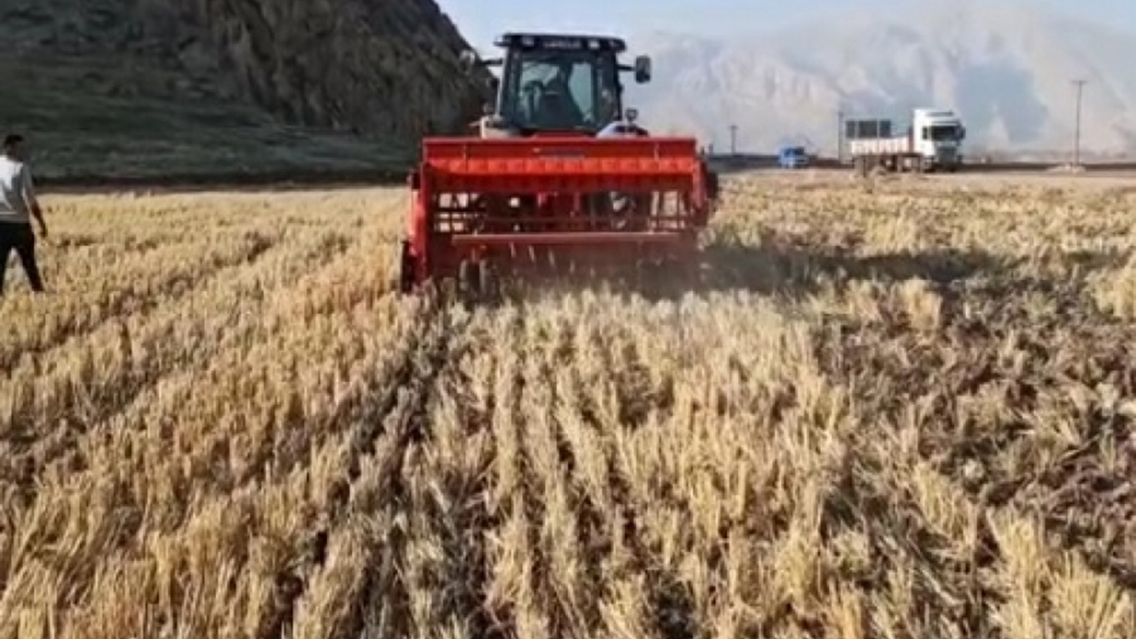 کشت مستقیم گندم در مرودشت