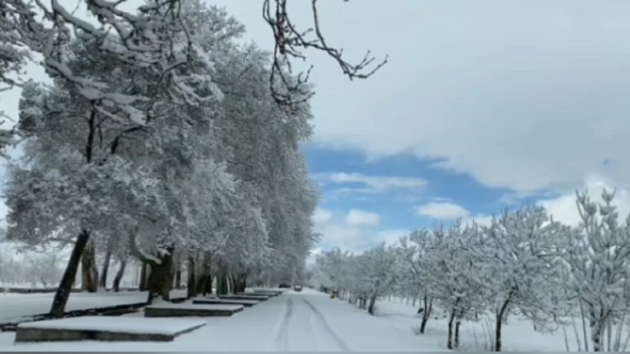 نمایی از طبیعت زمستانی در شاهرود + فیلم و تصاویر