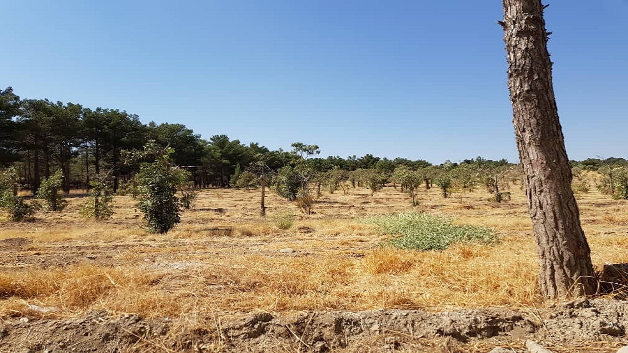 جلب مشارکت مردم اولویتی مهم در راستای صیانت از عرصه‌های ملی