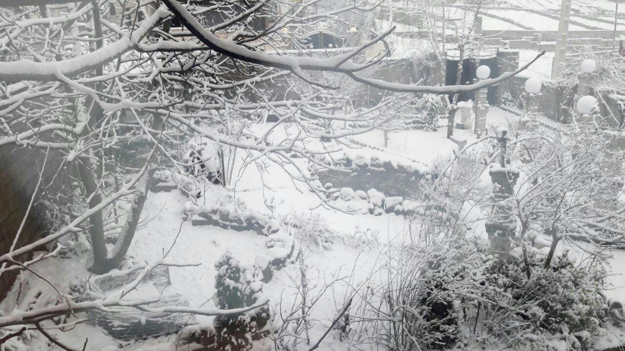 قطع برق ۵۰ روستای مازندران در پی بارش برف