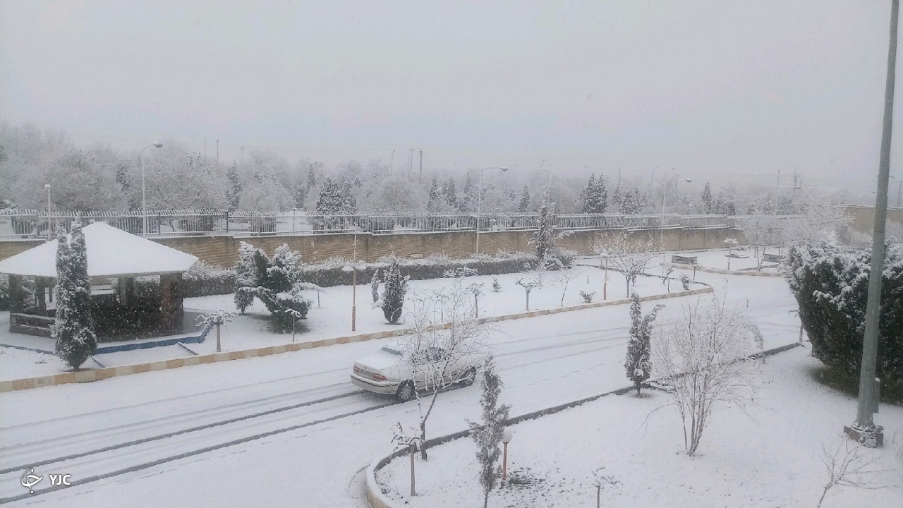زمستان زرد در استان مرکزی