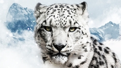عقابی که صدای گنجشک در می آورد + فیلم