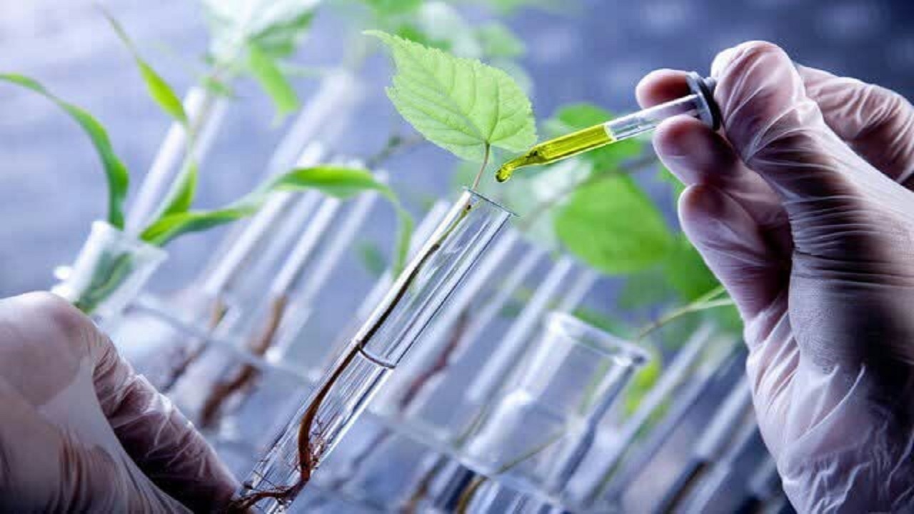 چرا کشاورزان از کلینیک‌های گیاه پزشکی استقبال نمی‌کنند؟