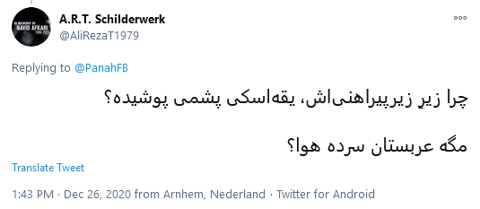 کامنت معنادار مهناز افشار زیر عکس پادشاه عربستان