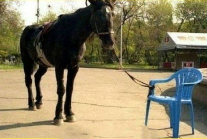 تصویری جالب که بازخورد های زیادی دراینترنت داشته است