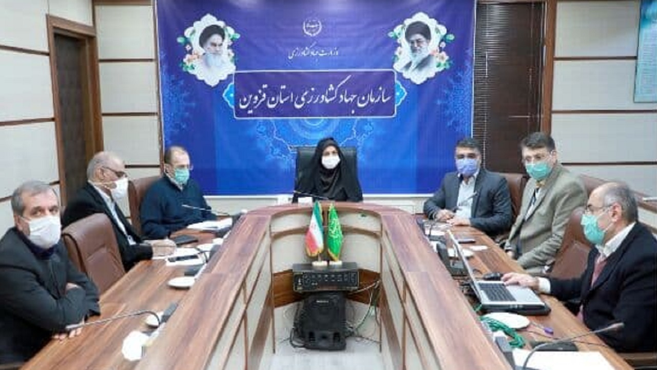 اجرای طرح کشت زراعت چوب در استان قزوین