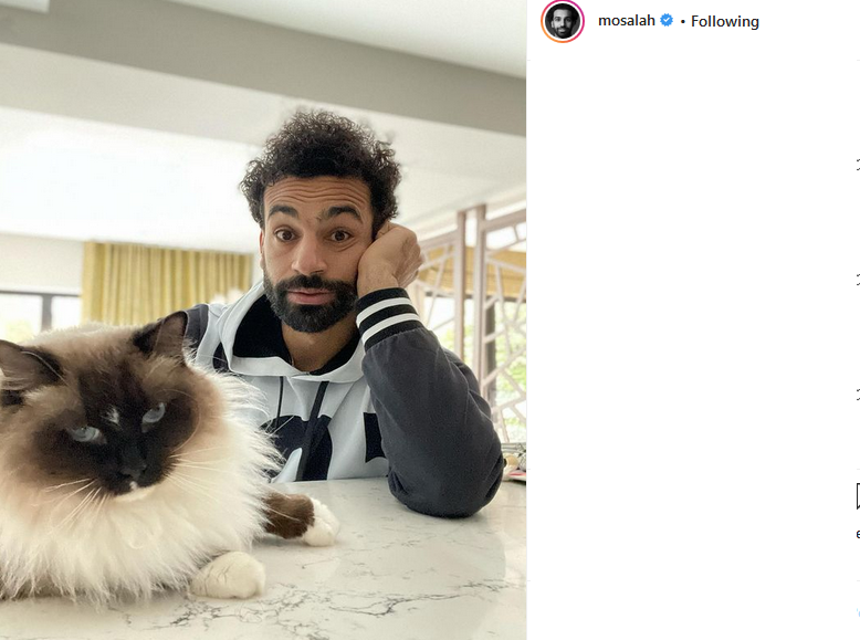 محمد صلاح