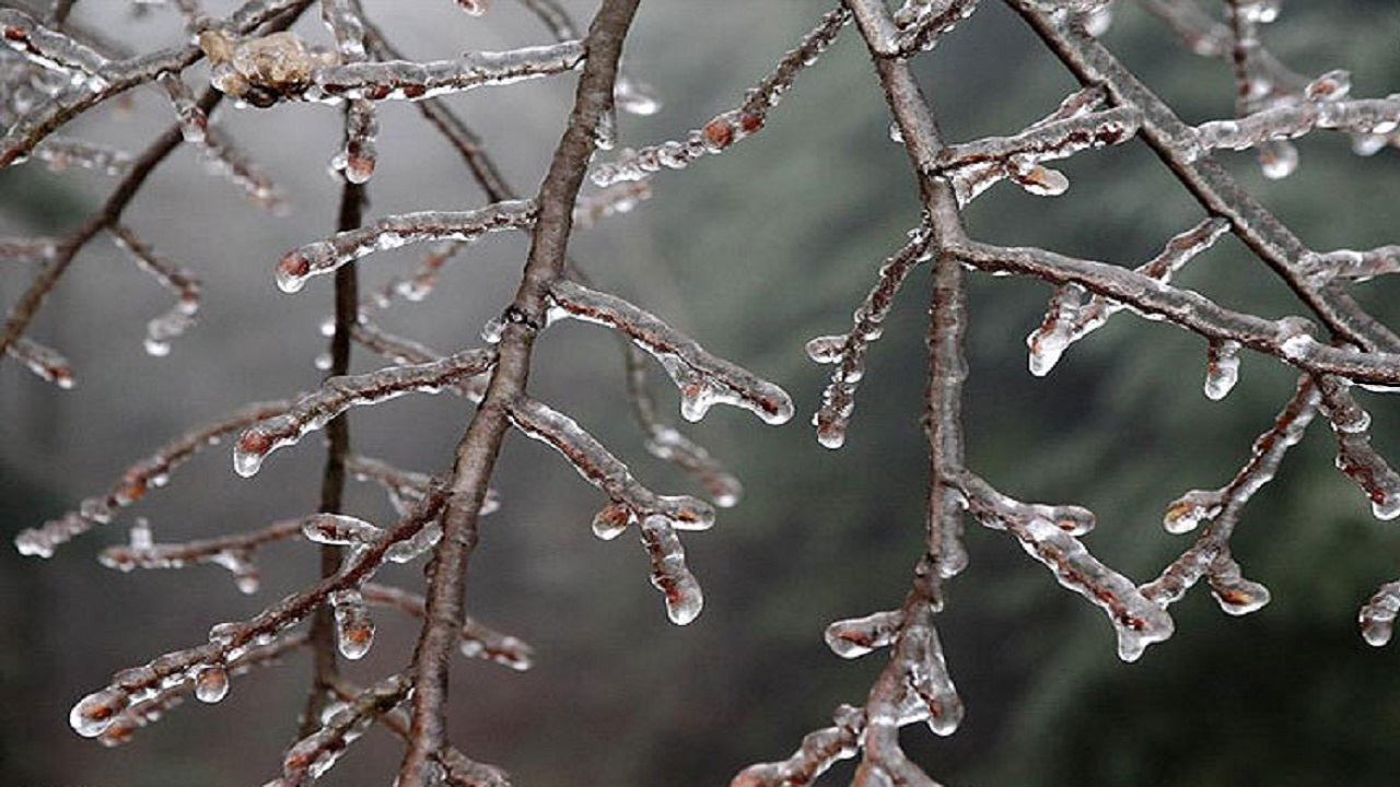 تدوام سرما و یخبندان شبانه تا پایان هفته