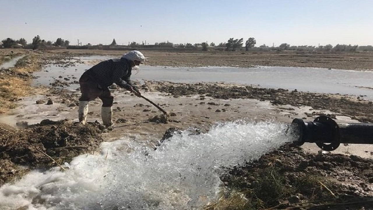 ١١٠ میلیون مترمکعب آب برای کشت پاییزه تحویل کشاورزان سیستانی شد