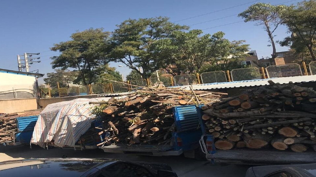 محموله چوب قاچاق جنگلی در مهاباد توقیف شد
