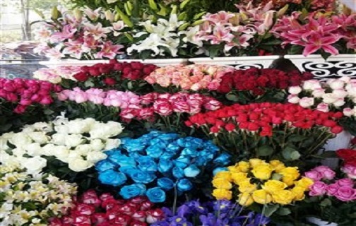 نبض بازار گل فروشان به شماره افتاد/ هجوم کرونا به جان گل&zwnj;ها