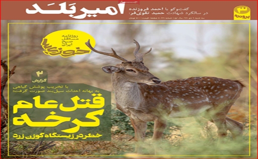 امیر بلد