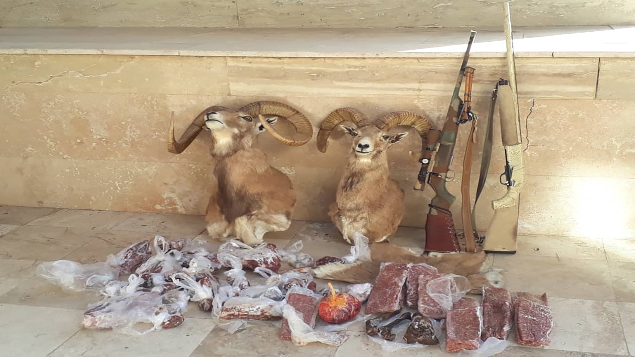 متخلفان شکار غیرمجاز در سیرجان دستگیر شدند