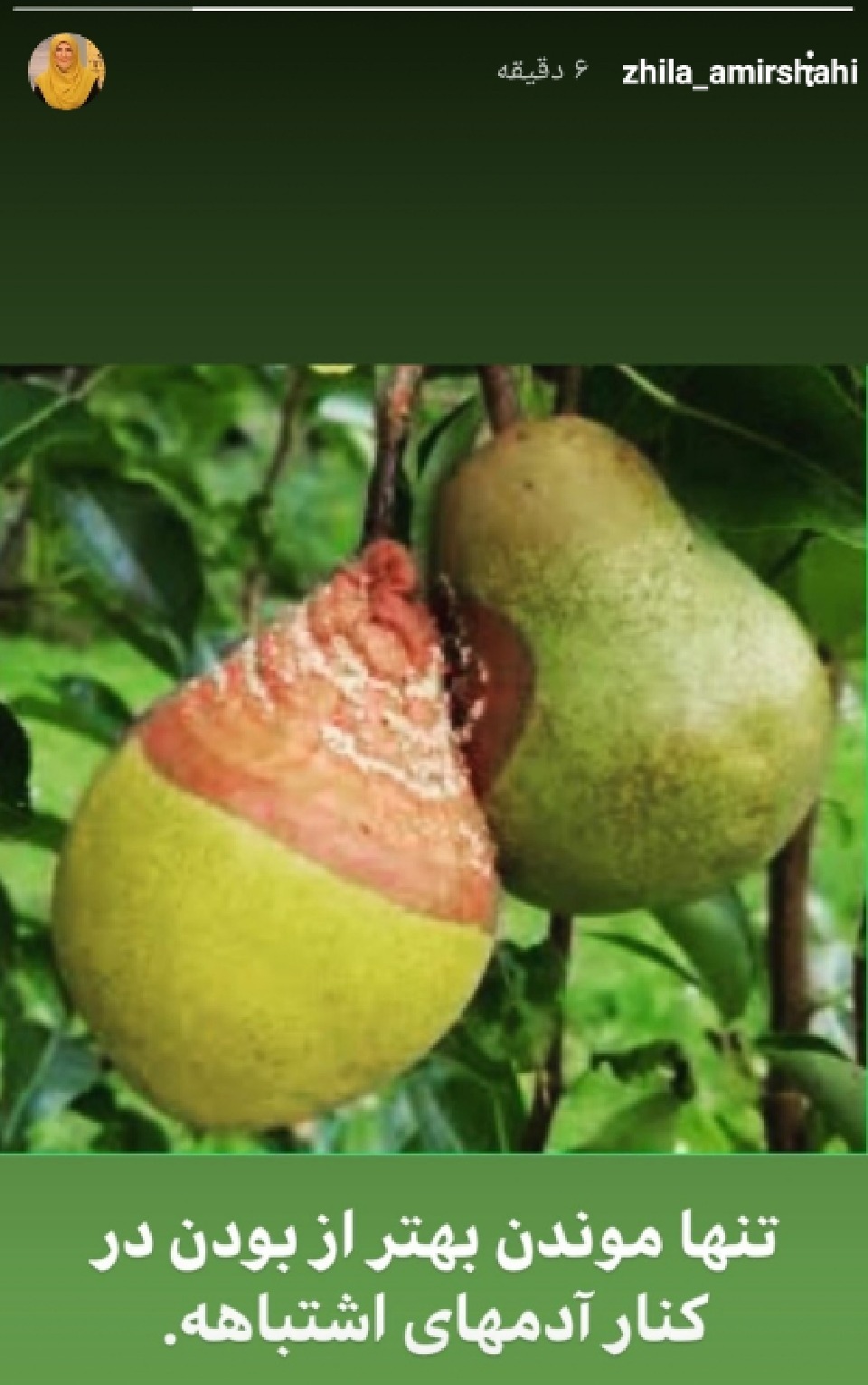 استوری جالب مجری به خانه برمیگردیم
