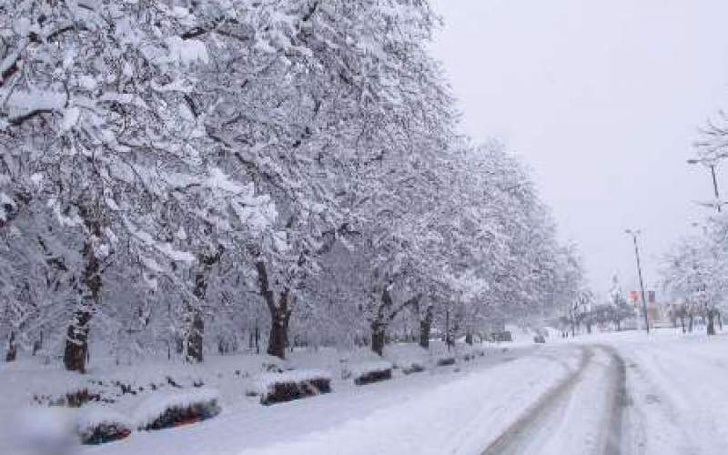 بارش برف و موج سرمای شدید در استان همدان در راه است