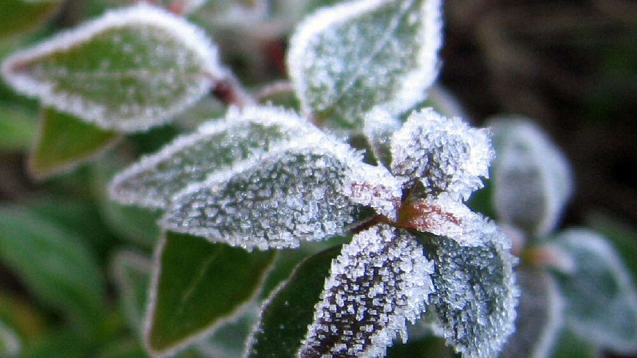 سرمای بالای ۱۰ درجه در راه استان مرکزی