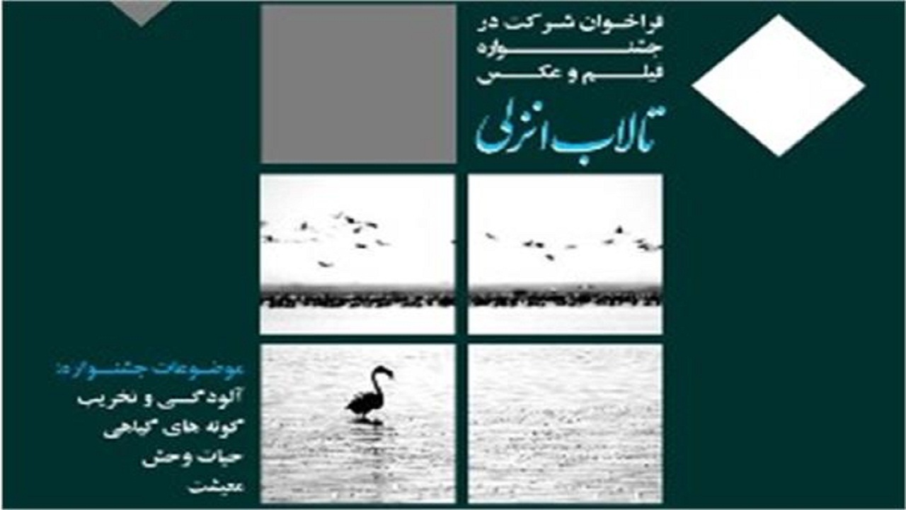 سوم بهمن آخرین مهلت ارسال آثار در جشنواره فیلم و عکس تالاب انزلی
