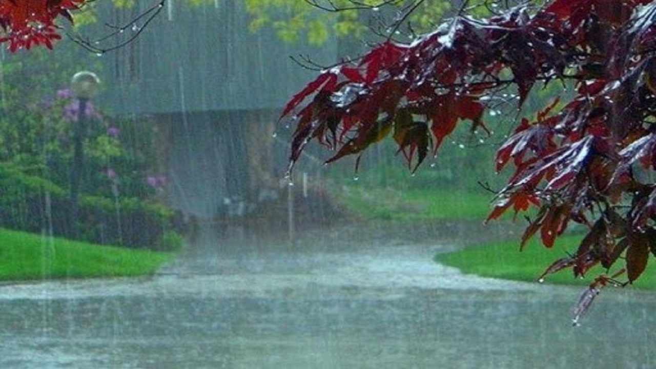 کاهش ۲۵ درصدی بارندگی در سال زراعی جدید گلستان