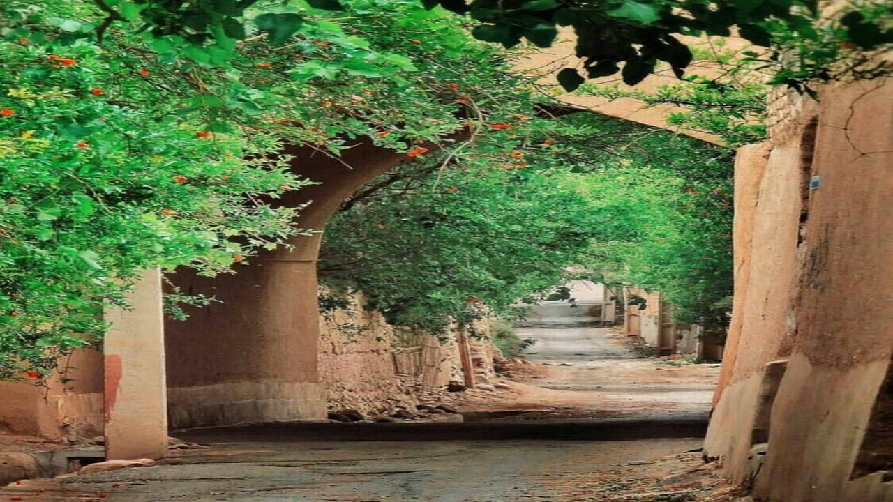 از خشکاندن باغ‌ها تا جریمه‌های شهرداری