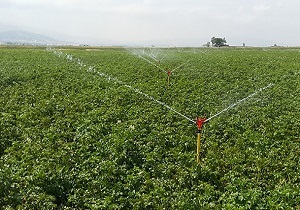 رشد ۷۵۰ درصدی اجرای سامانه آبیاری تحت فشار در اردبیل