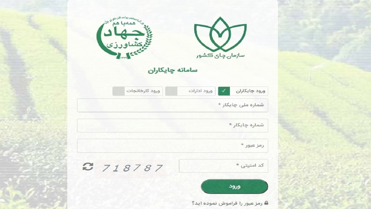 سامانه الکترونیکی چایکاران راه اندازی شد