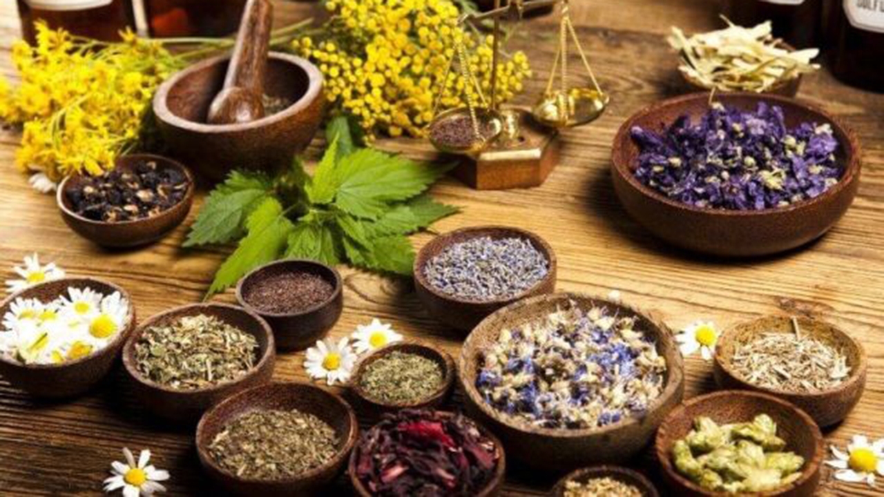 حمایت از راه‌اندازی صنایع تبدیلی گیاهان دارویی در فارس