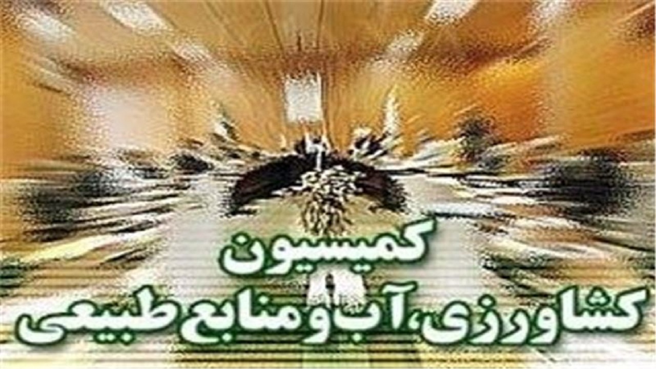 تدوین طرح دو فوریتی در مجلس برای جلوگیری از کمبود چوب