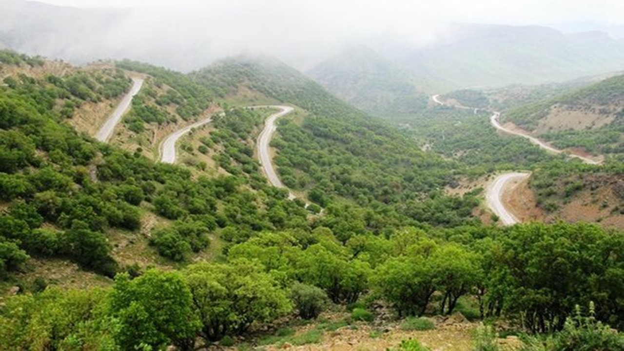 احیای مراتع در سرقنات ممو بیضا