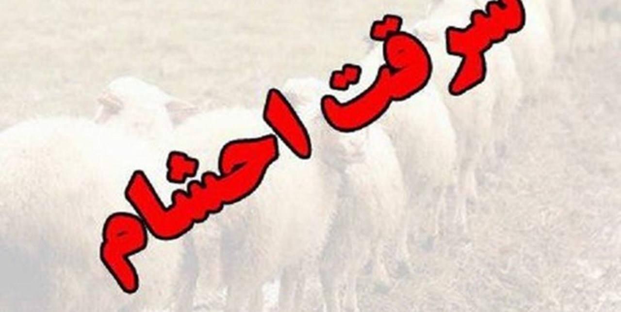 سارق احشام در اهر دستگیر شد