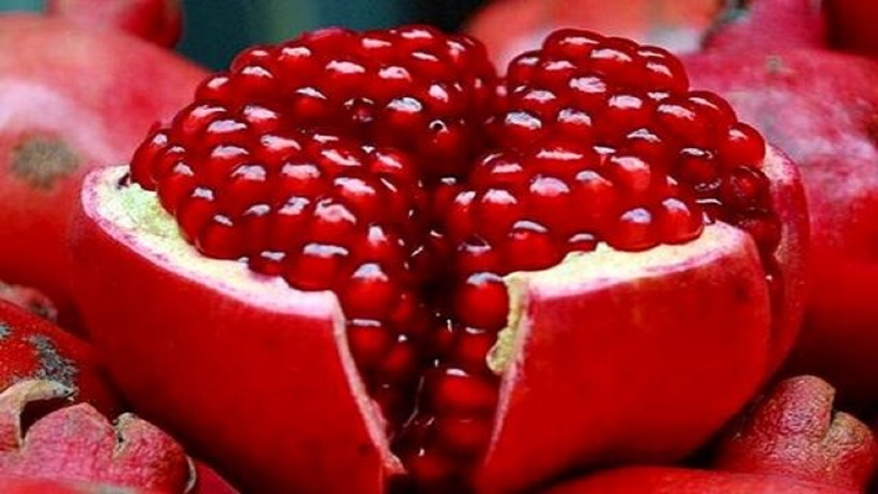 آیین شکرگزاری انار یکی از جشن‌های دیرینه فلات ایران است