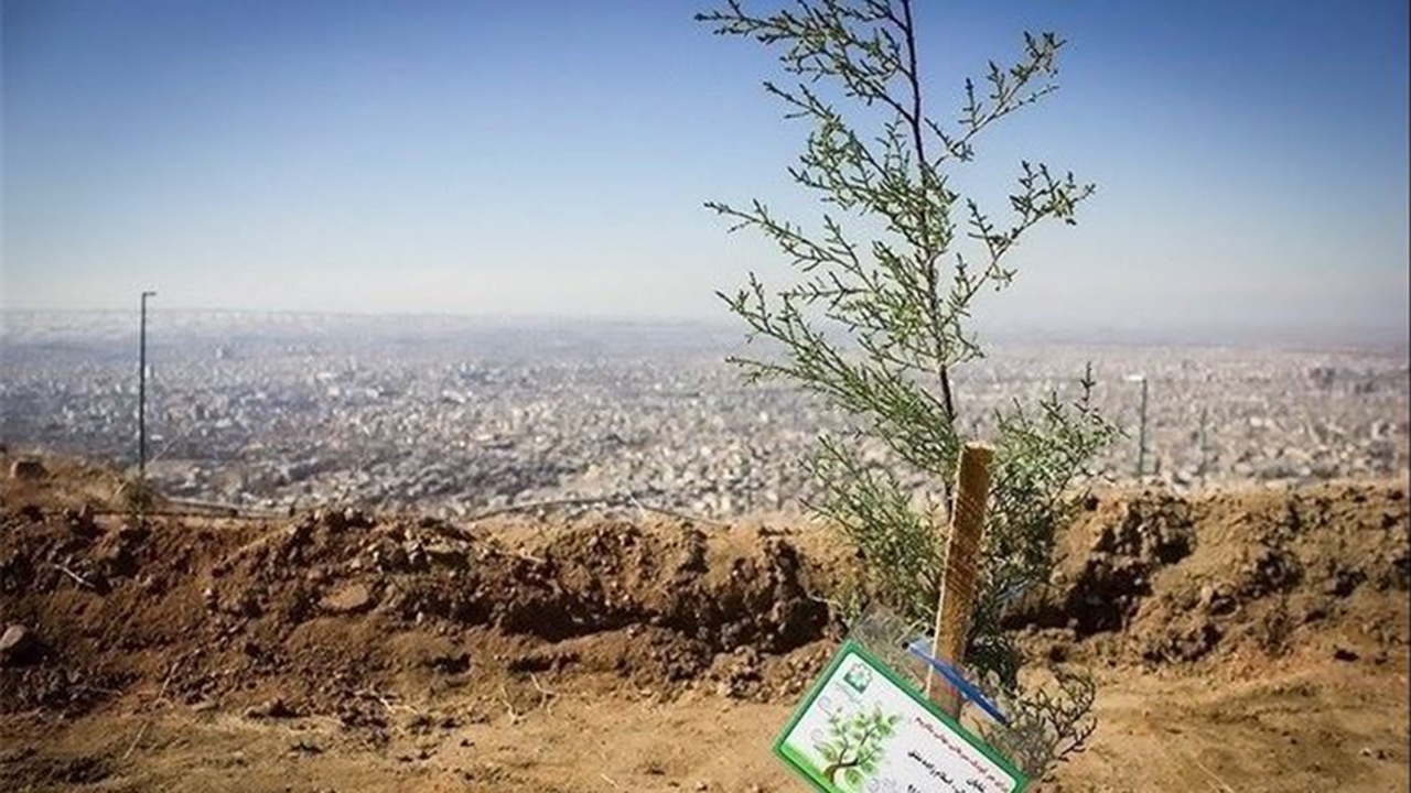آغاز عملیات کاشت ۷ هزار اصله درخت در پارک کوهستانی باباکوهی