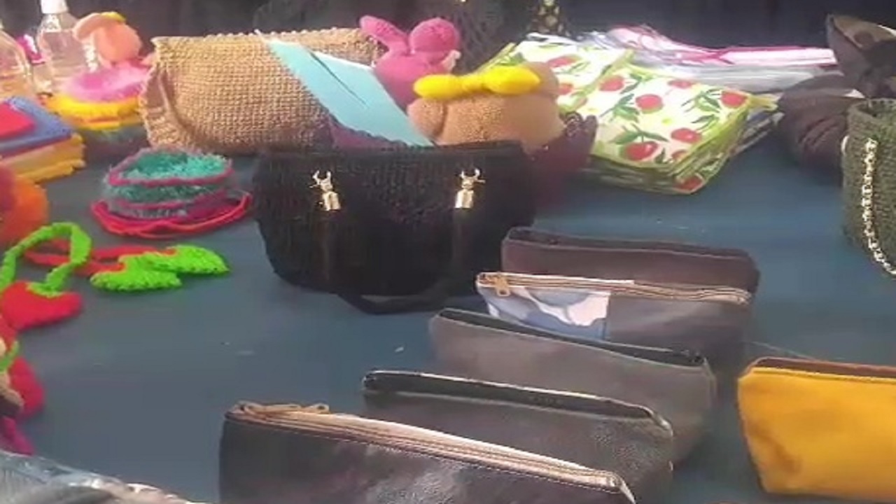 گشایش نمایشگاه صنایع دستی بانوان دیهوک