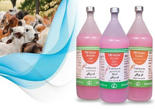 وقتی تب برفکی، تب می&zwnj;کند