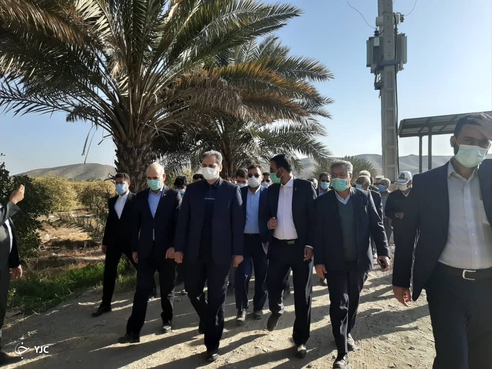 بادید وزیرجهادکشاورزی از مزارع آسیب دیده از سرما  در جیرفت