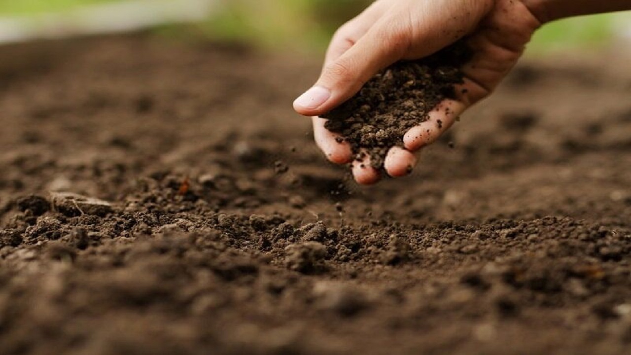 حفظ محیط زیست با اجرای طرح بیولوژیک در مه ولات