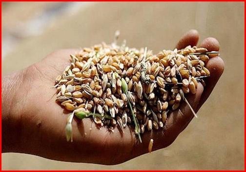 امروز در استان&zwnj;ها چه گذشت؟