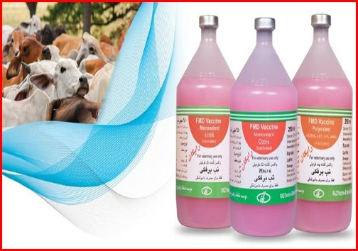 امروز در استان&zwnj;ها چه گذشت؟