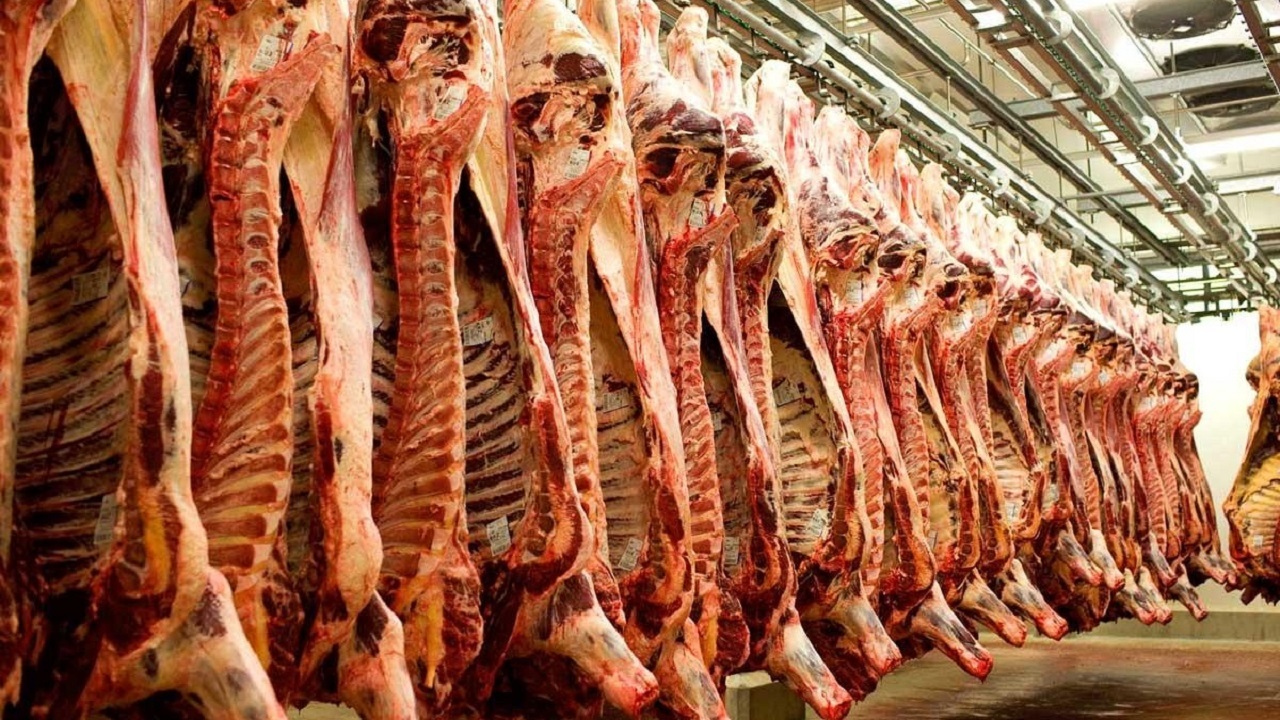 ماجرای گوشت‌هایی که ۷ سال در گمرک ماندند، چه بود؟