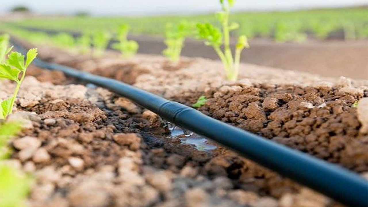 تجهیز ۱۵ هکتار از اراضی کشاورزی روستای حیدری به سیستم‌های نوین آبیاری