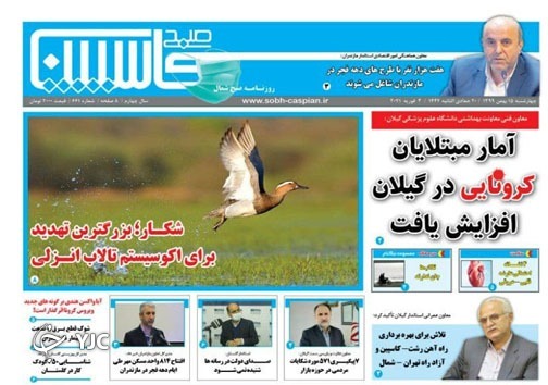 رها شدگی جنگل از فرضیه تا قانون / خبری از ساماندهی غیرانتفاعی&zwnj;ها نیست!